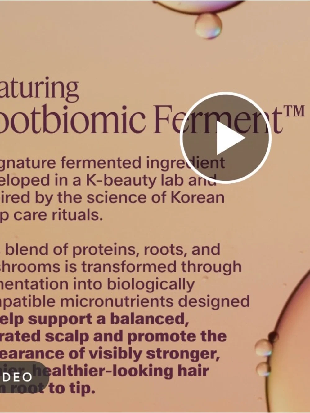 BioBrew The Rootist Serum - repair serum for hair damage